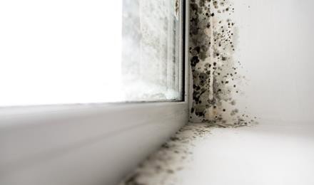 A window edge showing mould.