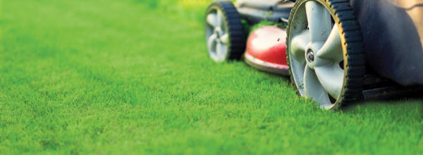 A lawn mower is cutting grass.